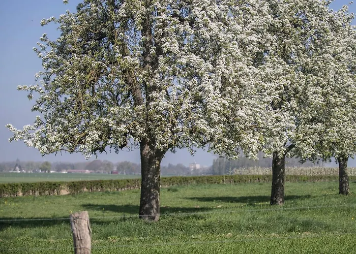 Bungalowpark Landsrade By Interhome * غولبين