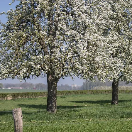 Bungalowpark Landsrade By Interhome * Gulpen